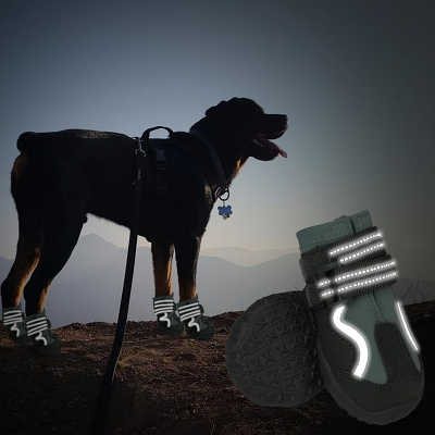 Chaussure pour Chien - DogBoots™ - Vert
