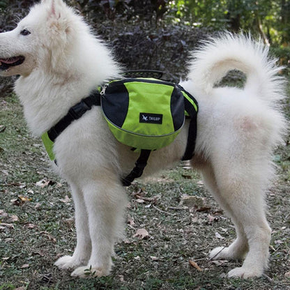 Sac de Voyage Chien - DogBackpack™ - Vert