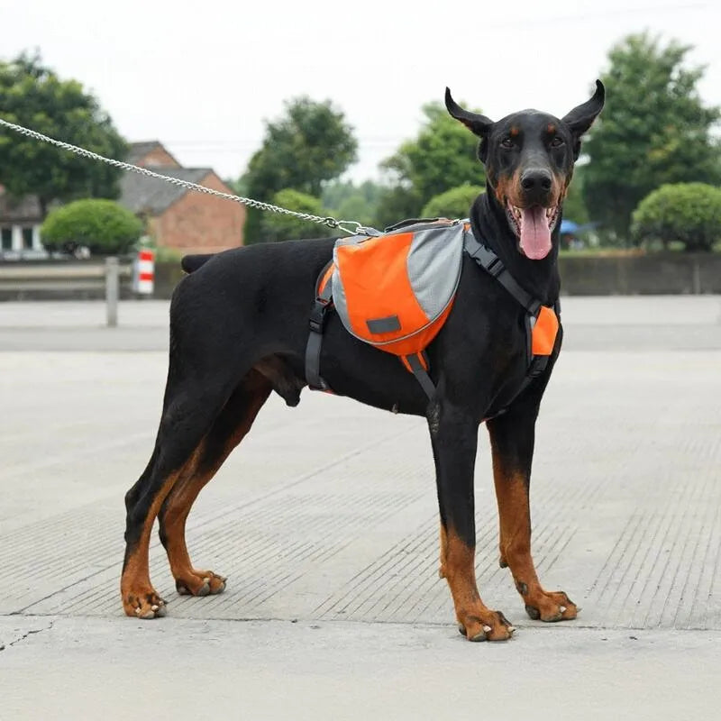 Sac de Voyage Chien - DogBackpack™ - Orange