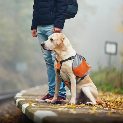 Sac de Voyage Chien - DogBackpack™ - Orange
