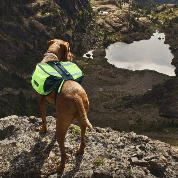 Sac de Voyage Chien - DogBackpack™ - Vert